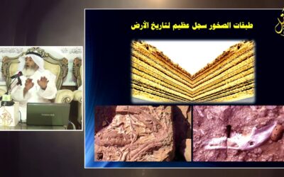 الجزيرة العربية منشأ الحضارات – أ/د/عبدالعزيز بن لعبون